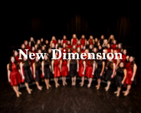 Noblesville New Dimension